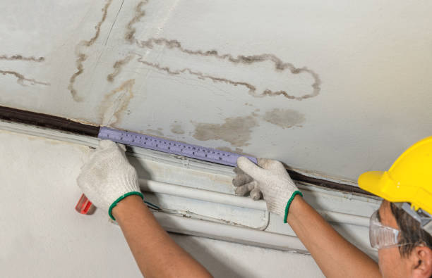 Reliable Mold Remediation contractor in Wellington, MO by Water Damage Irwin